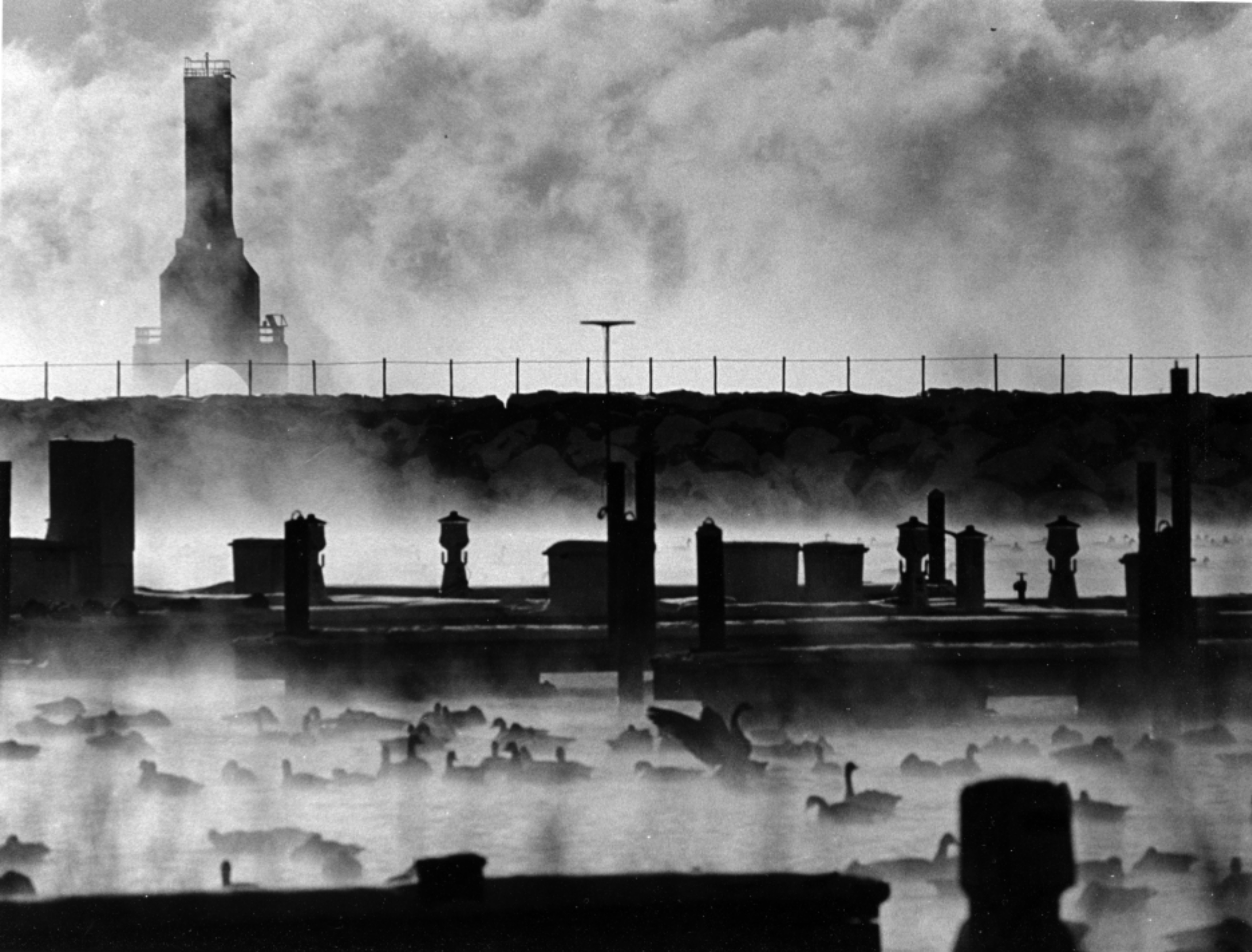 2023 Challenge - Fog Photographer: Michael B