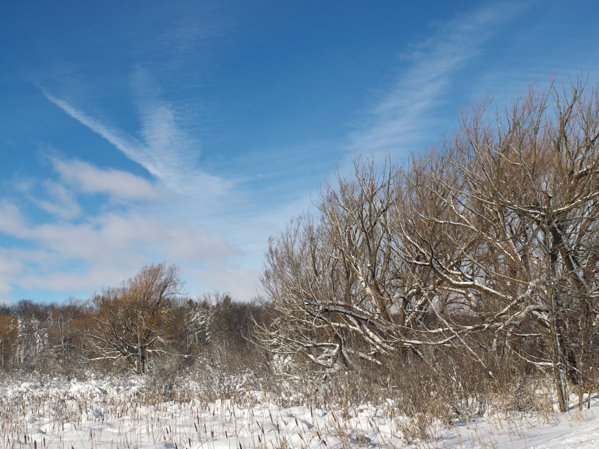 “Winter Excursions” – 2024